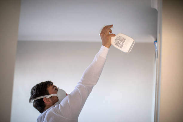Best HVAC Mold Remediation in Bartlett, IL